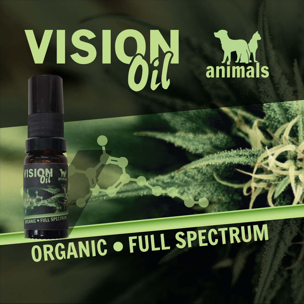 Vision Oil Animals